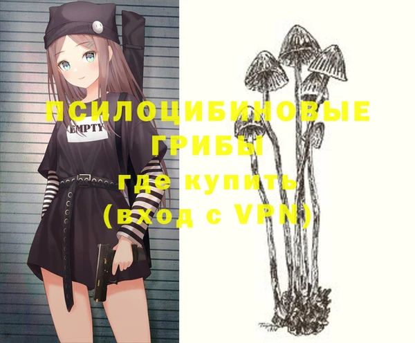 твердый Костерёво