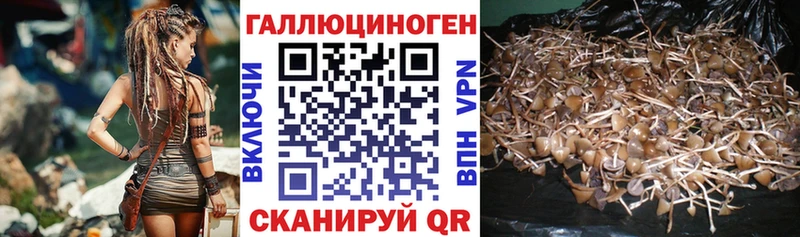 Псилоцибиновые грибы Magic Shrooms  закладка  гидра ссылки  Троицк 