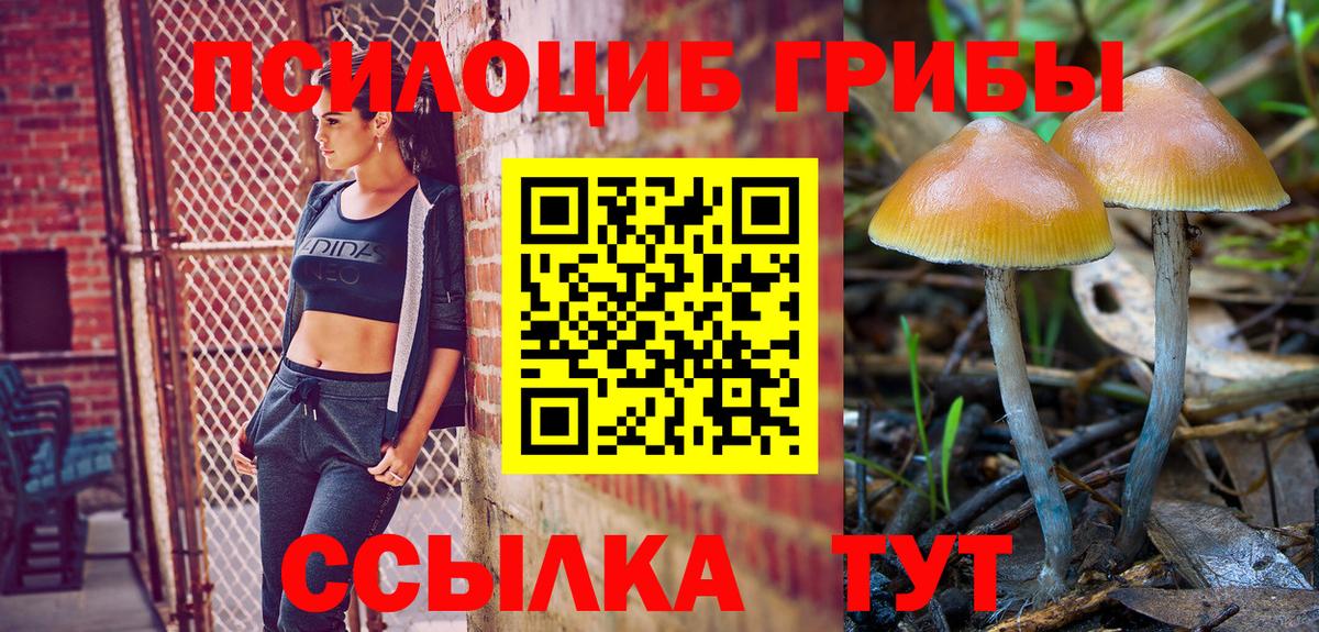 Троицк  Псилоцибиновые грибы Cubensis  Вход с VPN 
